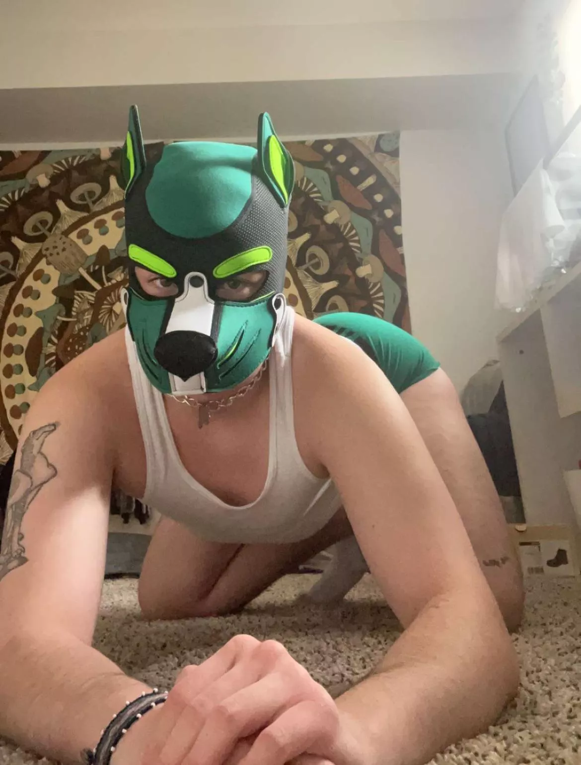 where are all my fellow green puppies?