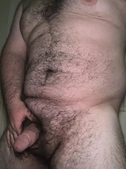 21 college football … bear or cub?