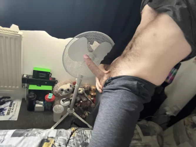 23 m looking for Bottom Femboys and Sissies to chat and sext with  Sc: alex_kaye2022