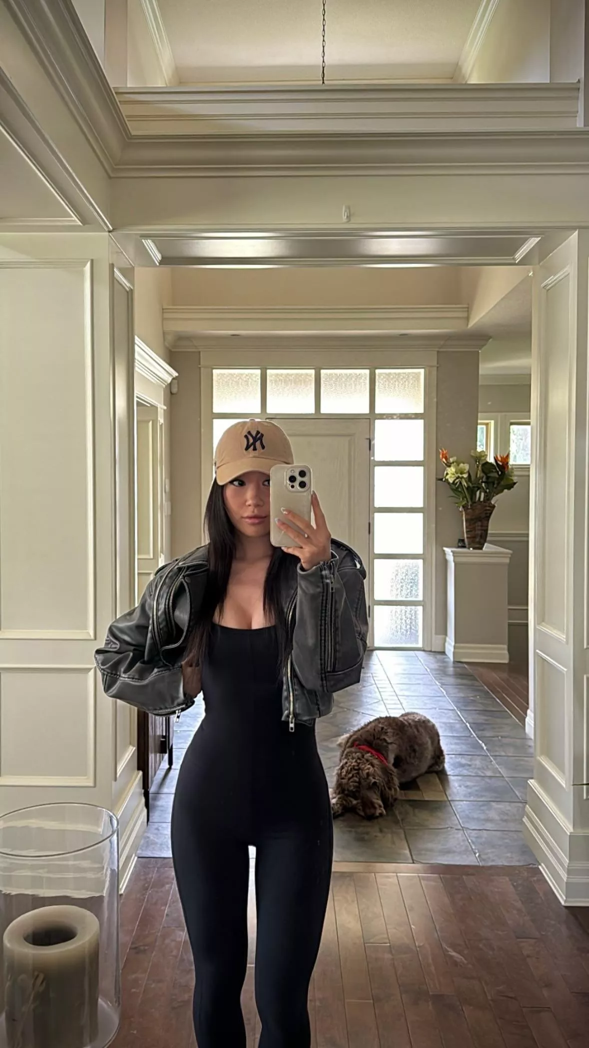 About to walk the dog