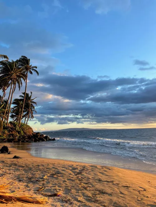 Aloha from Kihei, Hawaii 
