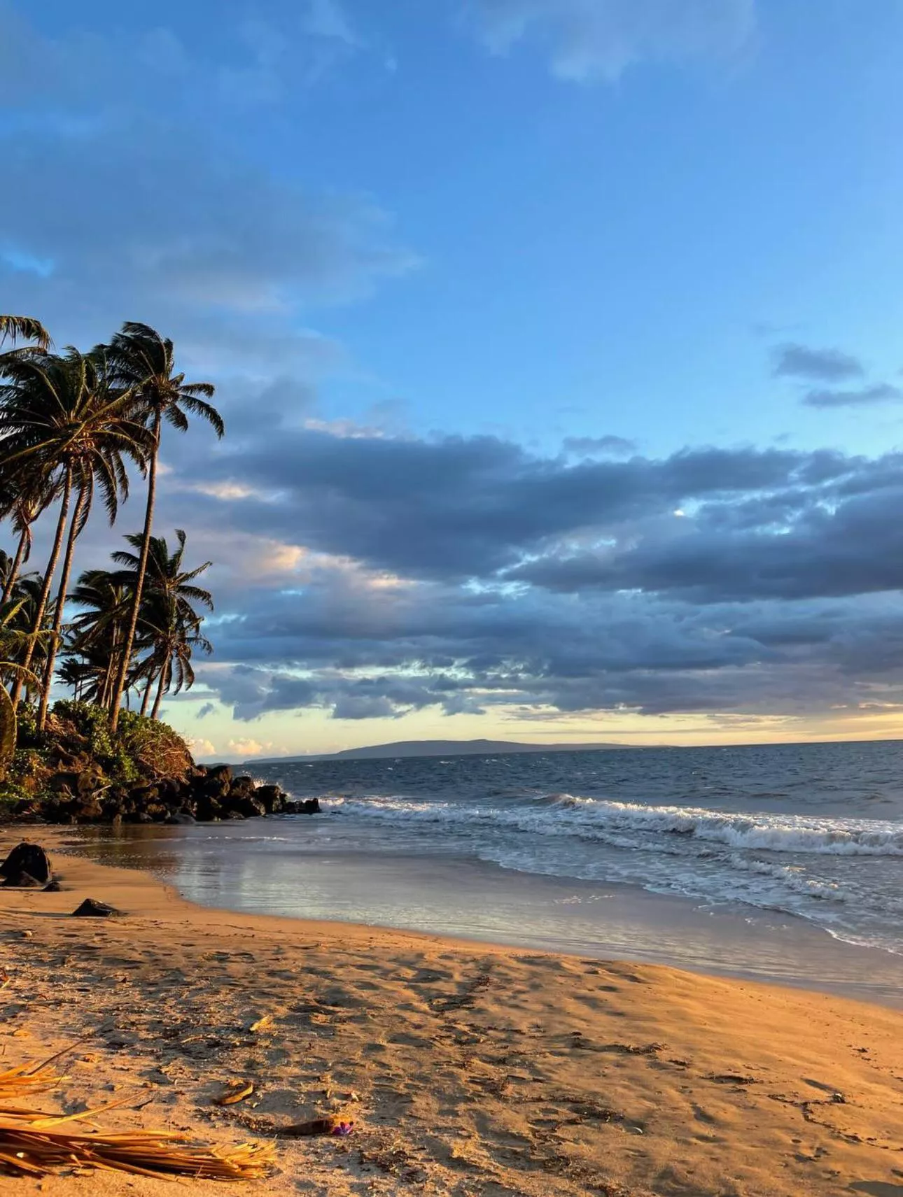 Aloha from Kihei, Hawaii 