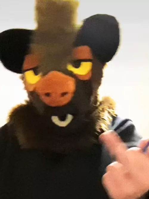 assume things about my fursona :0