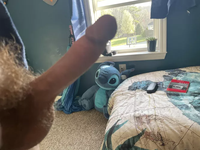 Cut cock with a good view 