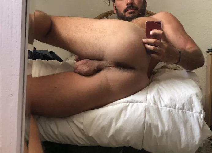 Hairy ass in the bed