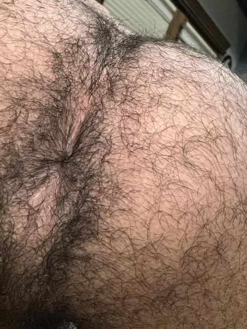 hairy dicks for my hairy hole?