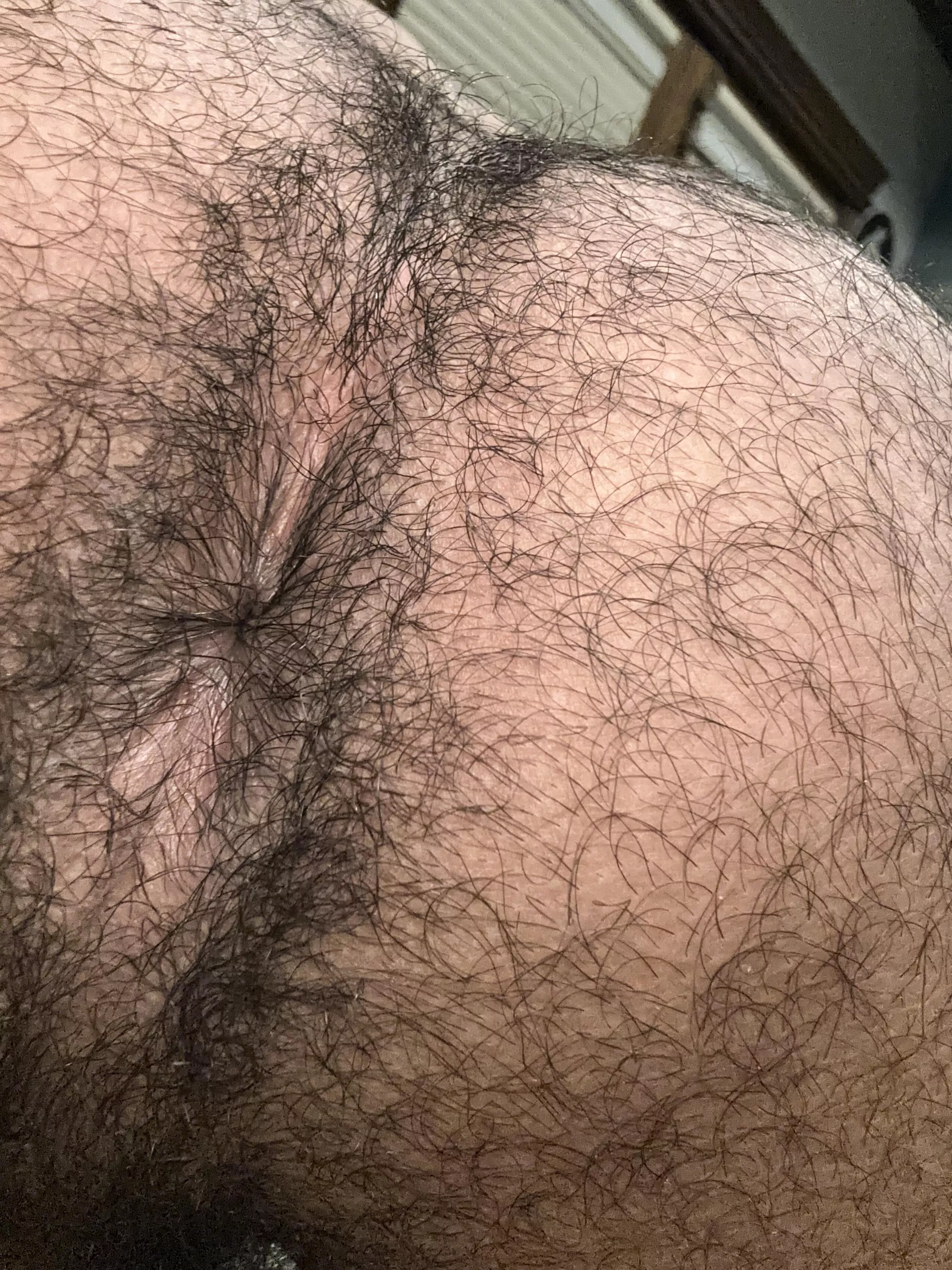 hairy dicks for my hairy hole?