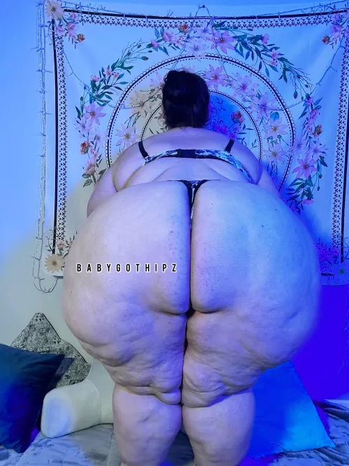 Happy Wagon Wednesday!