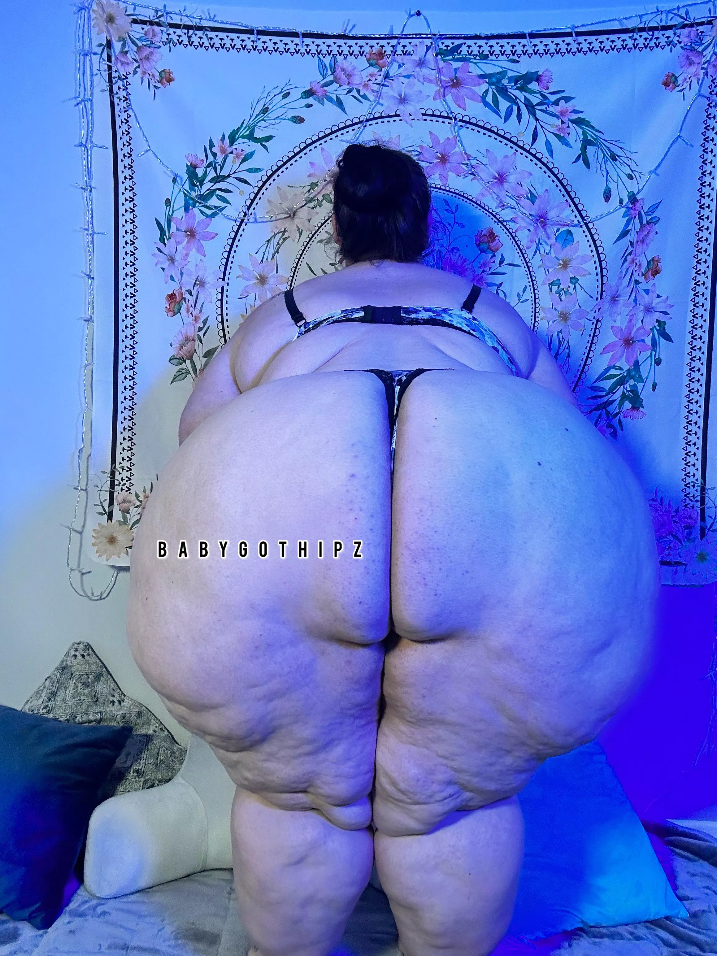 Happy Wagon Wednesday!