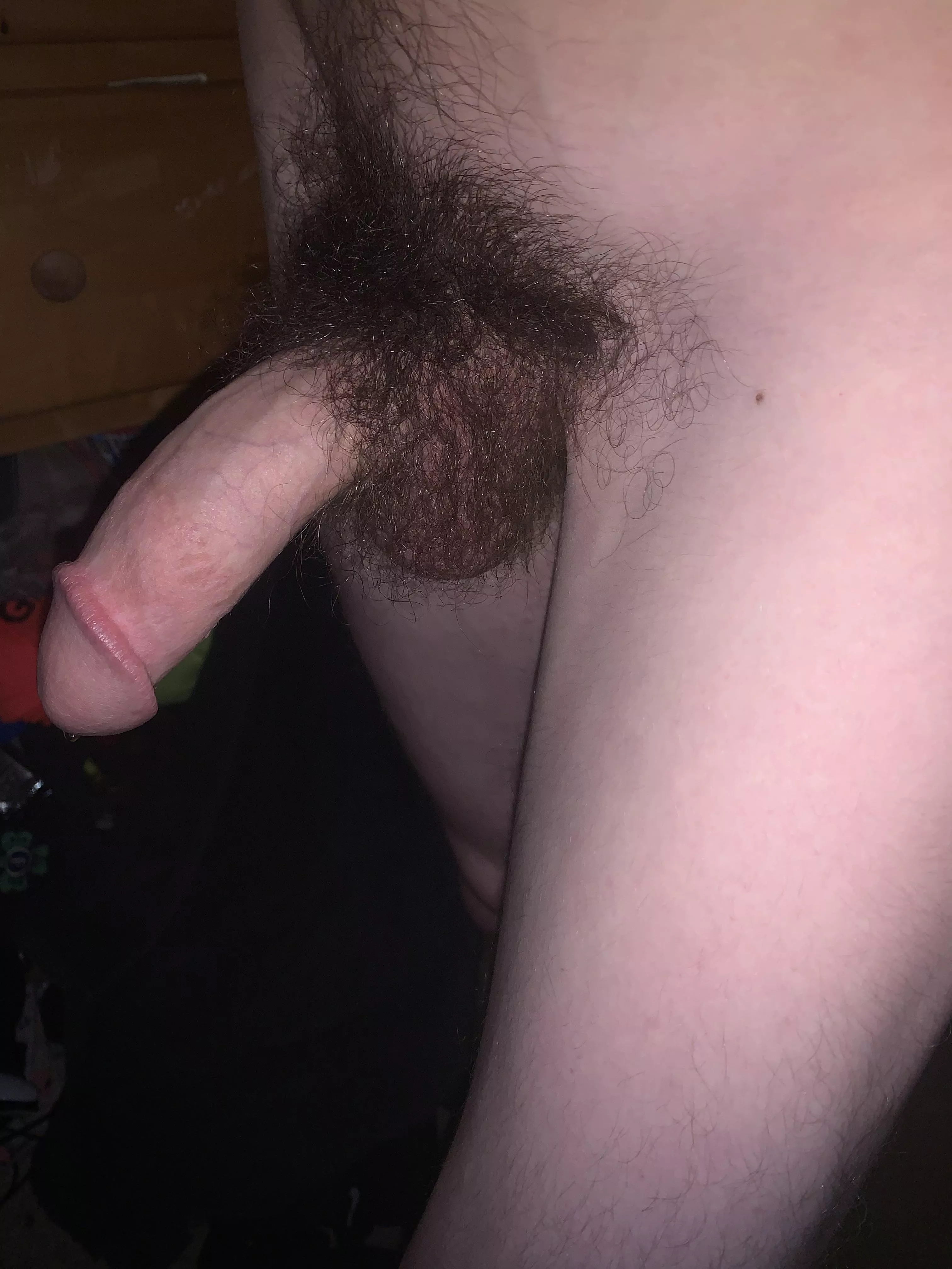 Hope the bush won’t chase you away :P