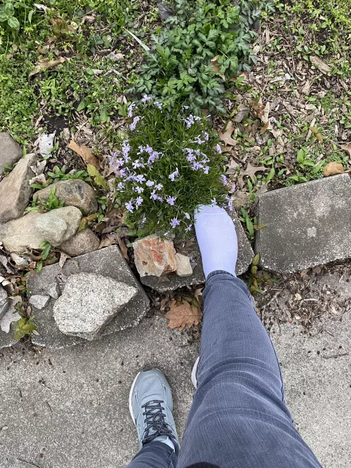 I think my foot is even prettier than the flowers. 