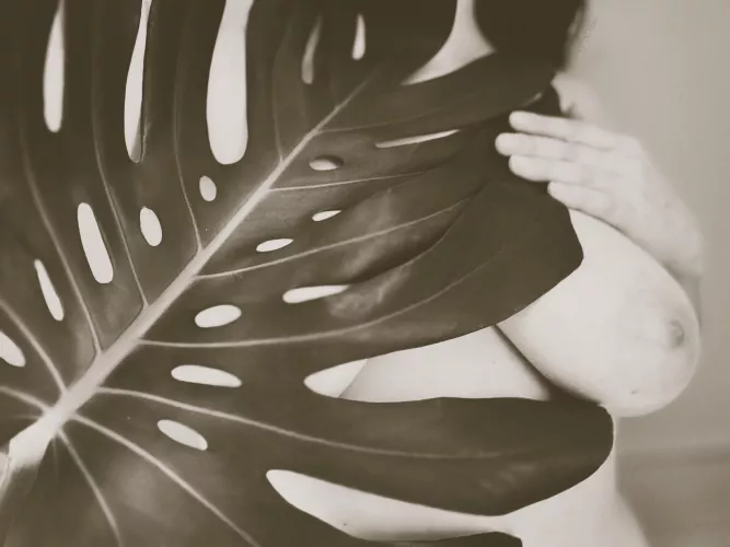 I’m awfully frond of you 