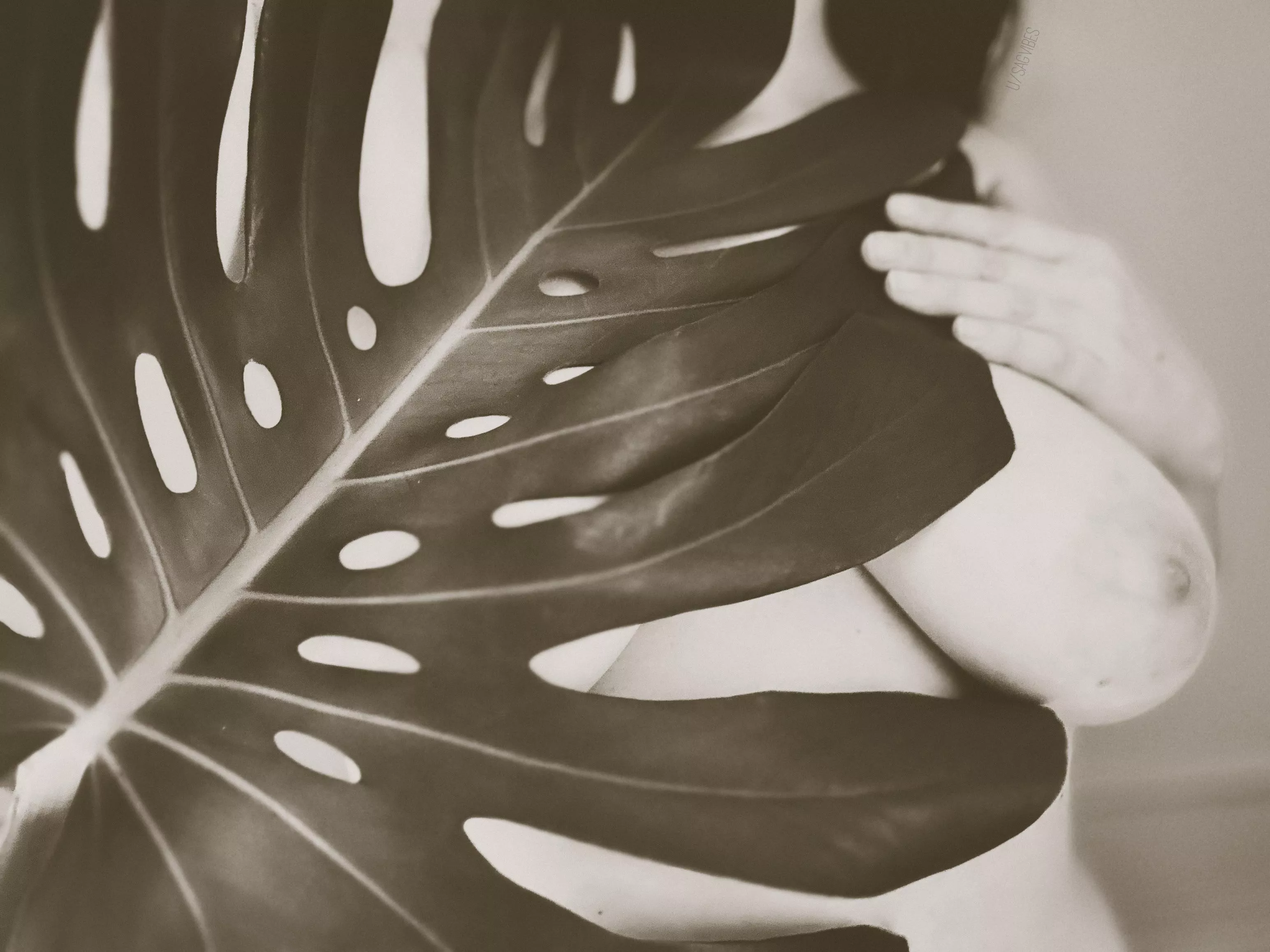 I’m awfully frond of you 