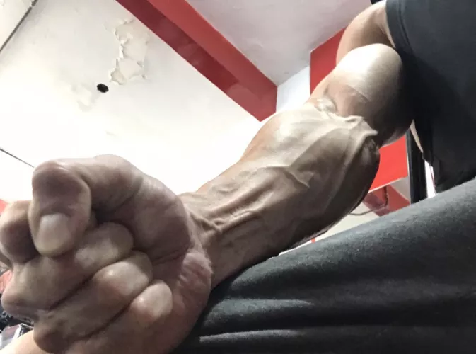 Let's do a forearm routine in the gym