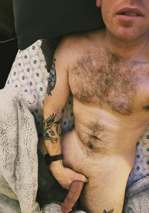 Looking for a helping hand.. or mouth