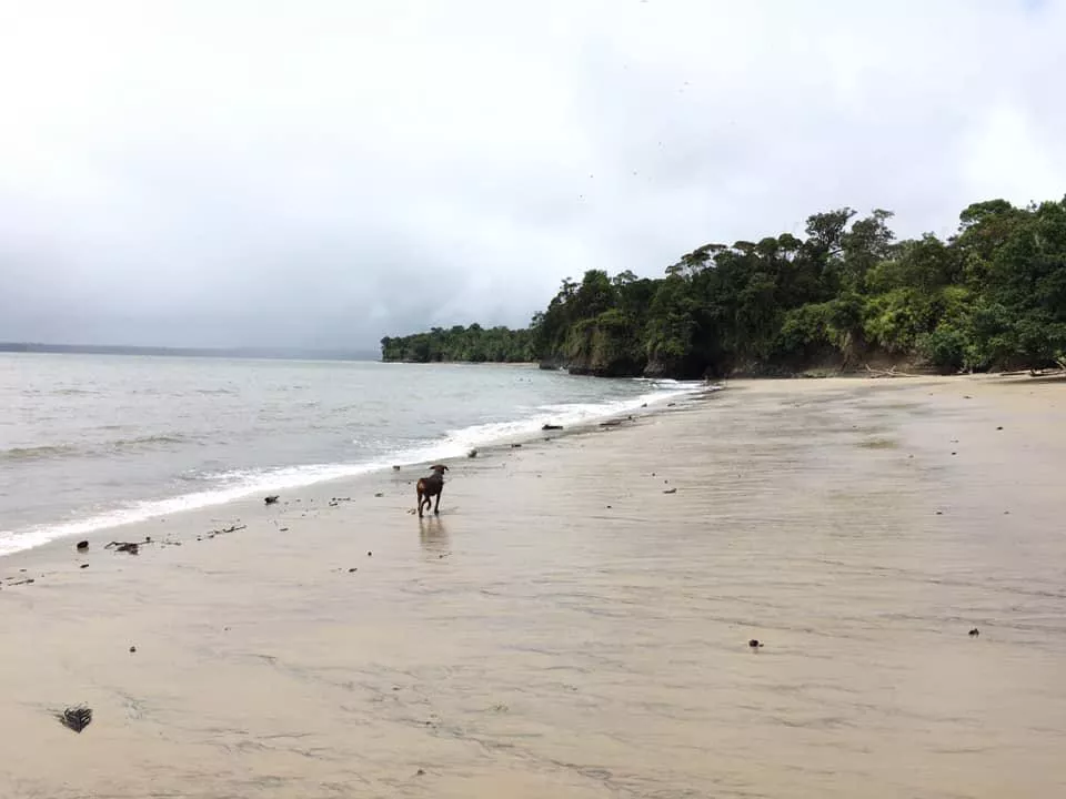 Malaga beach - (Pacific Colombia)