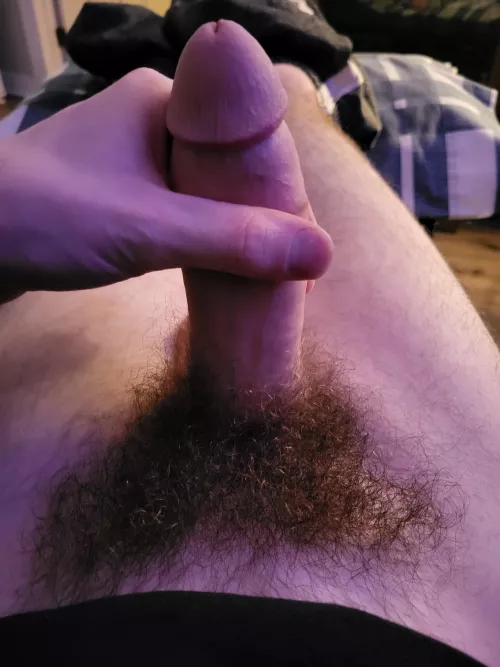 My bush is becoming my favourite feature