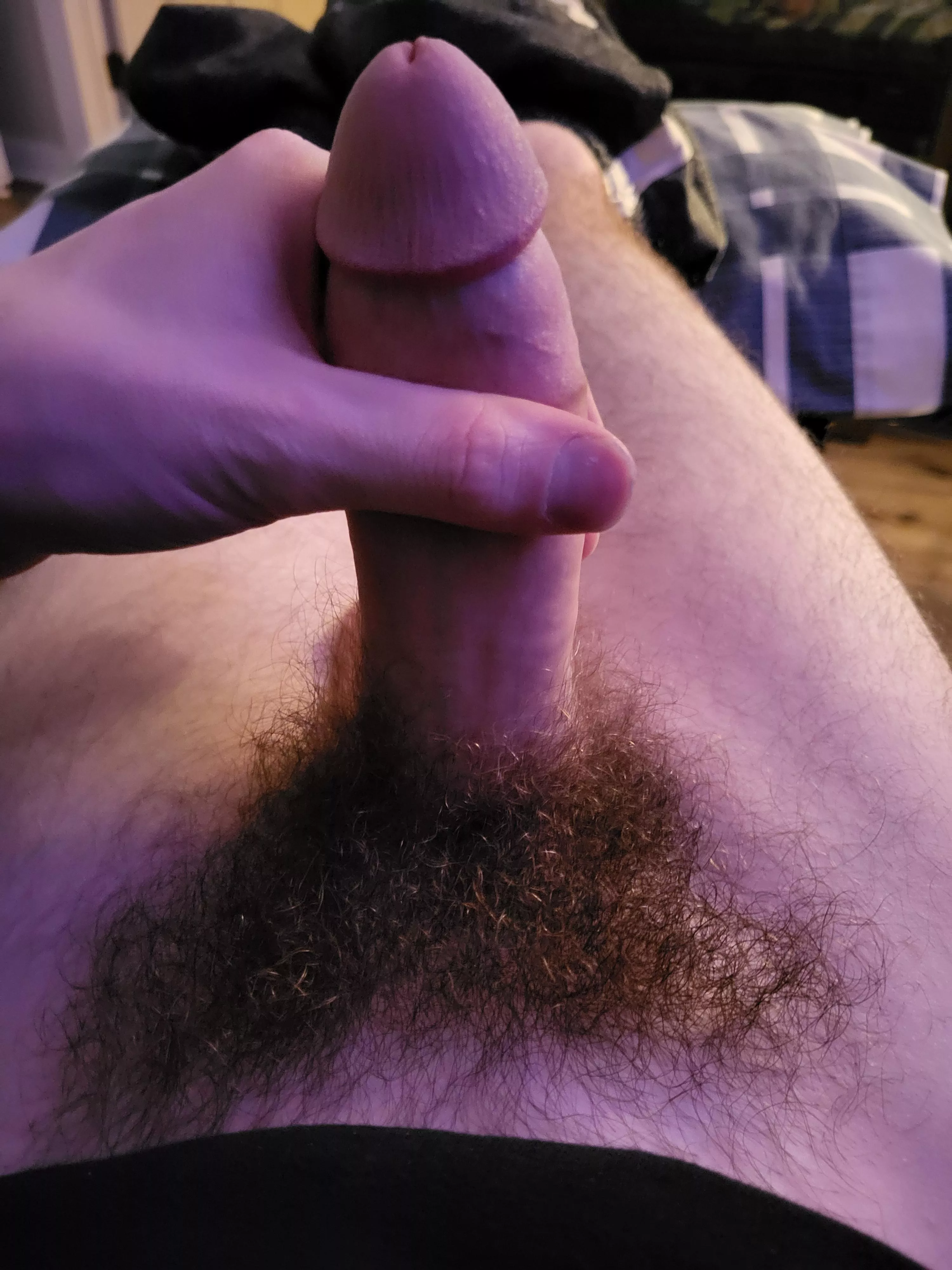 My bush is becoming my favourite feature