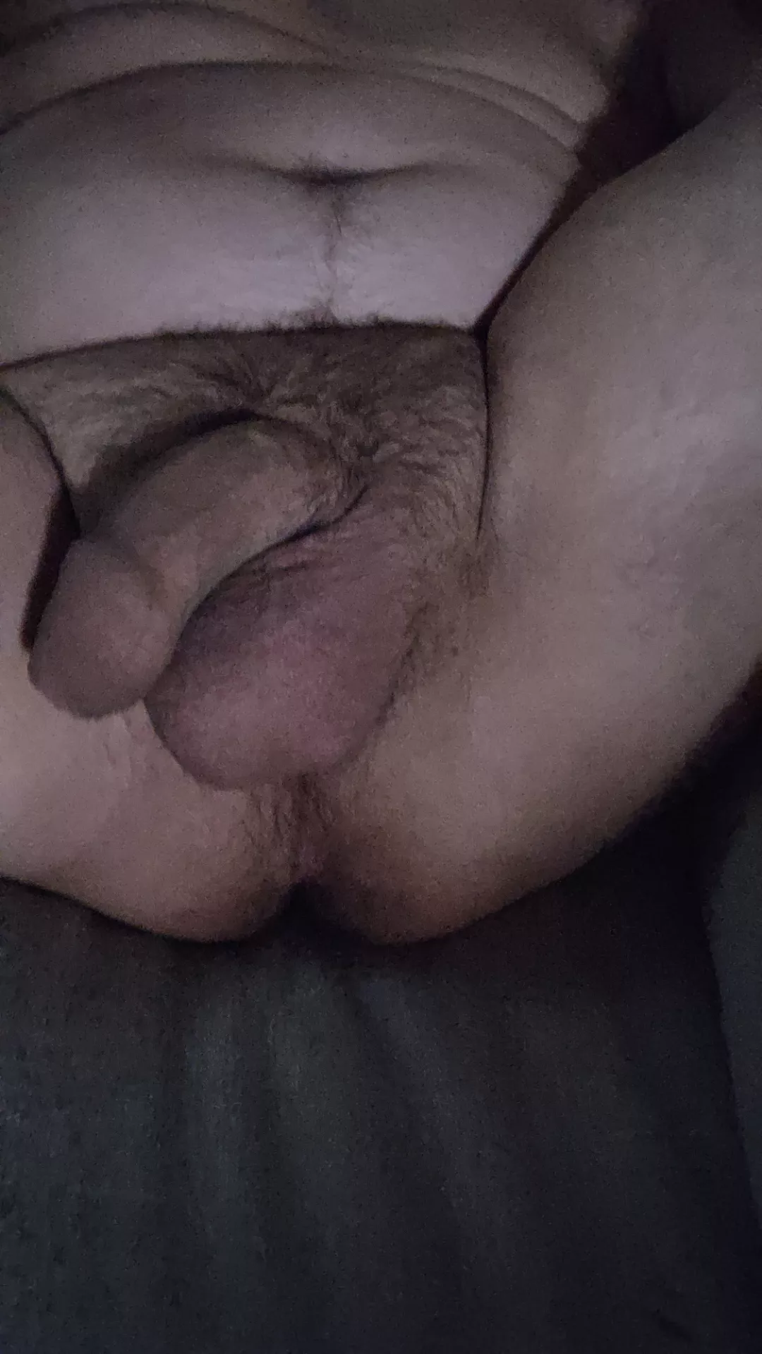 Need to get bred by a chub 