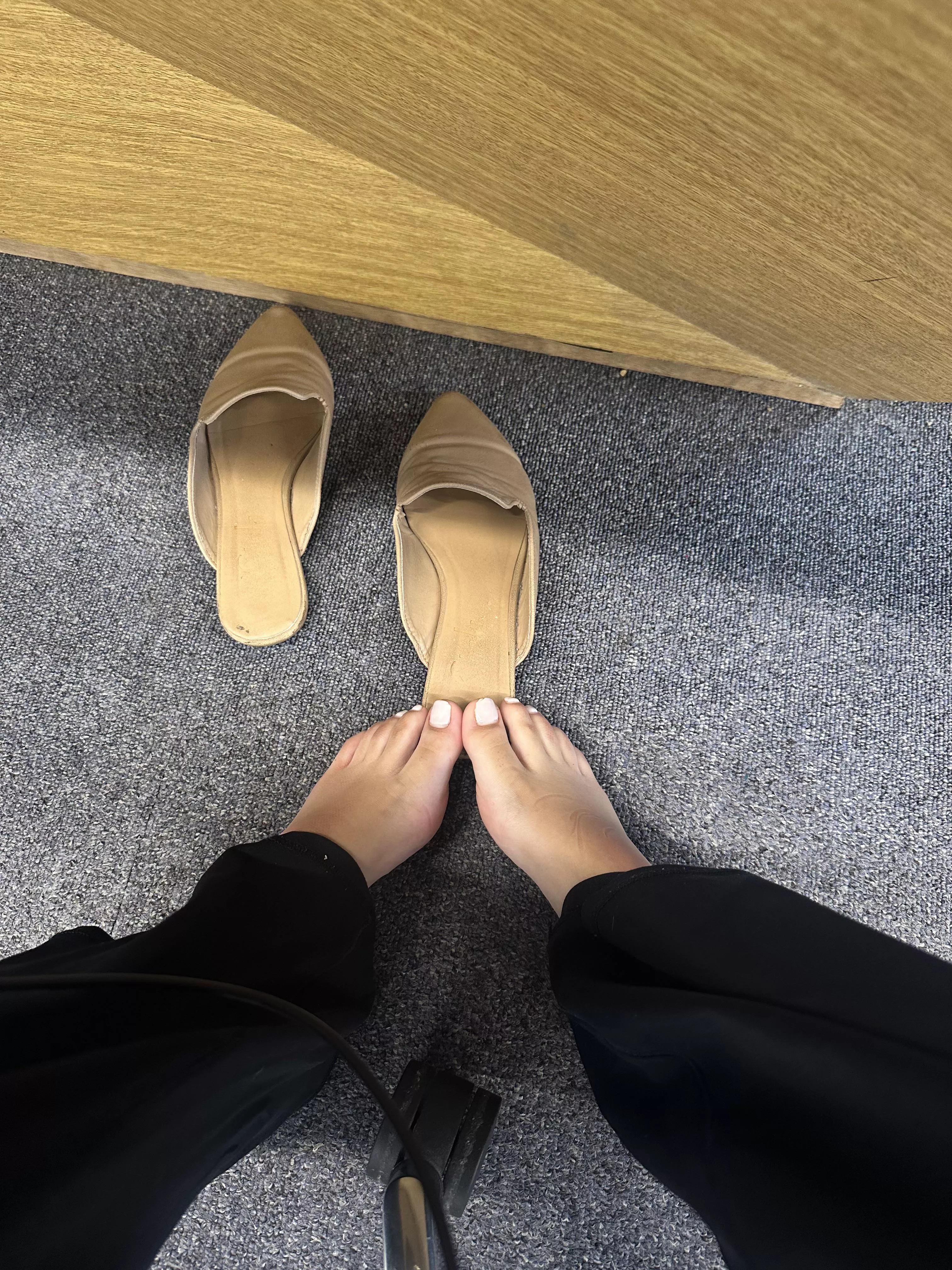 Office picture today 💞 oc