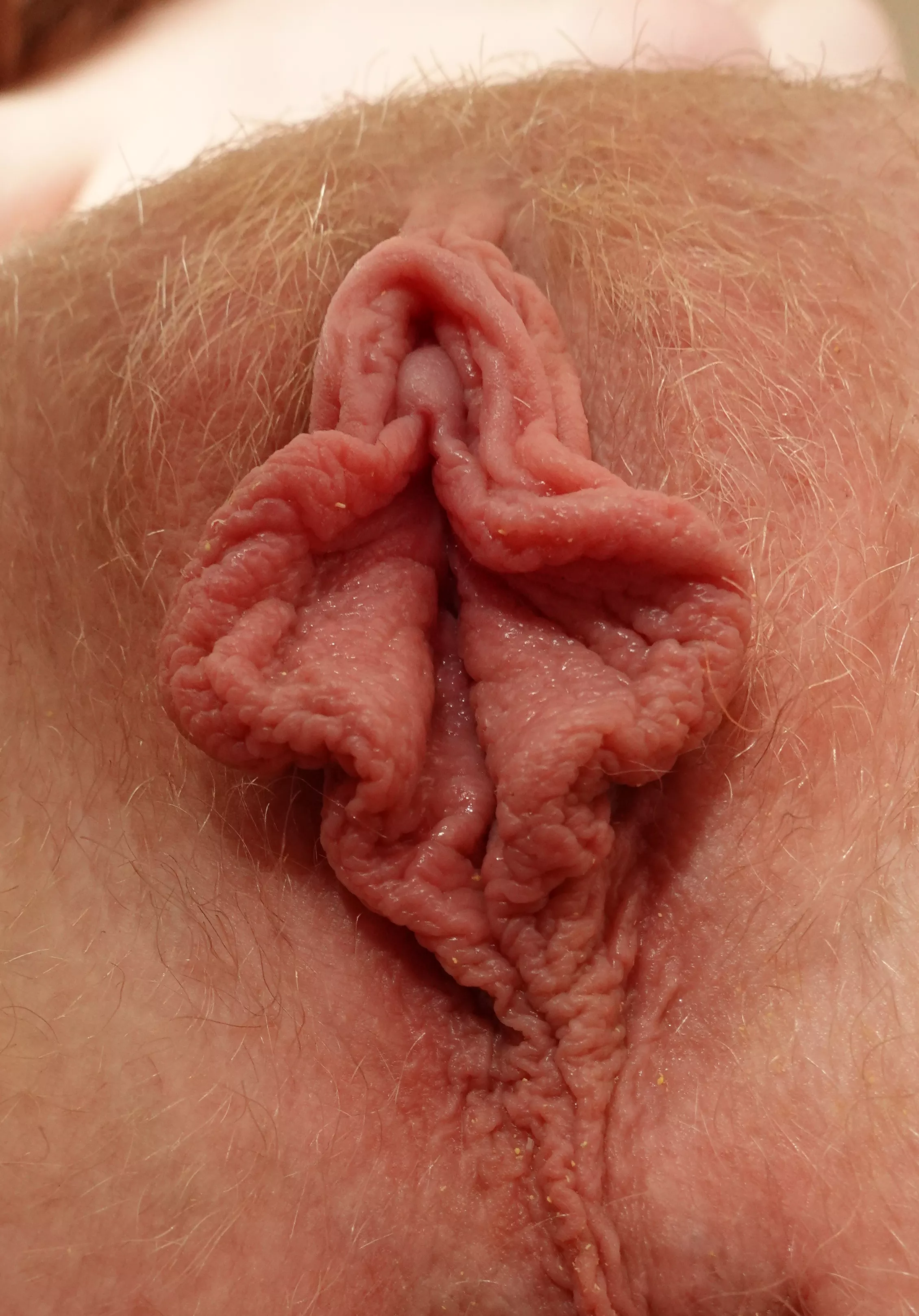 Pussy straight out of your dreams provided you like big labia 😅