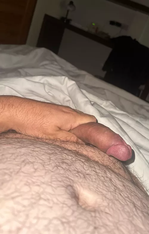 Someone please take my cock