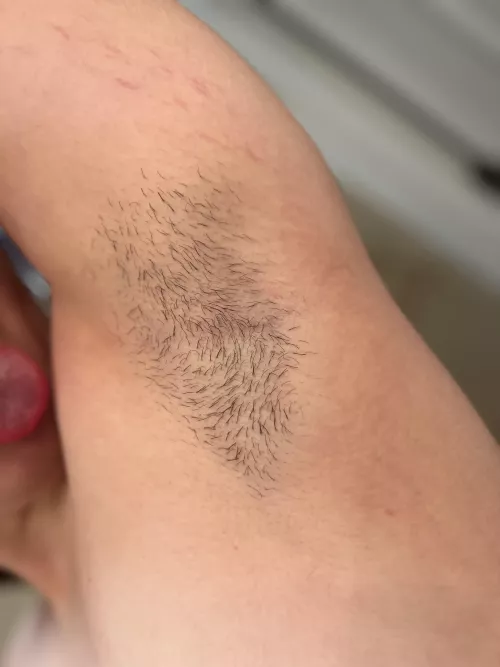 starting to grow more!