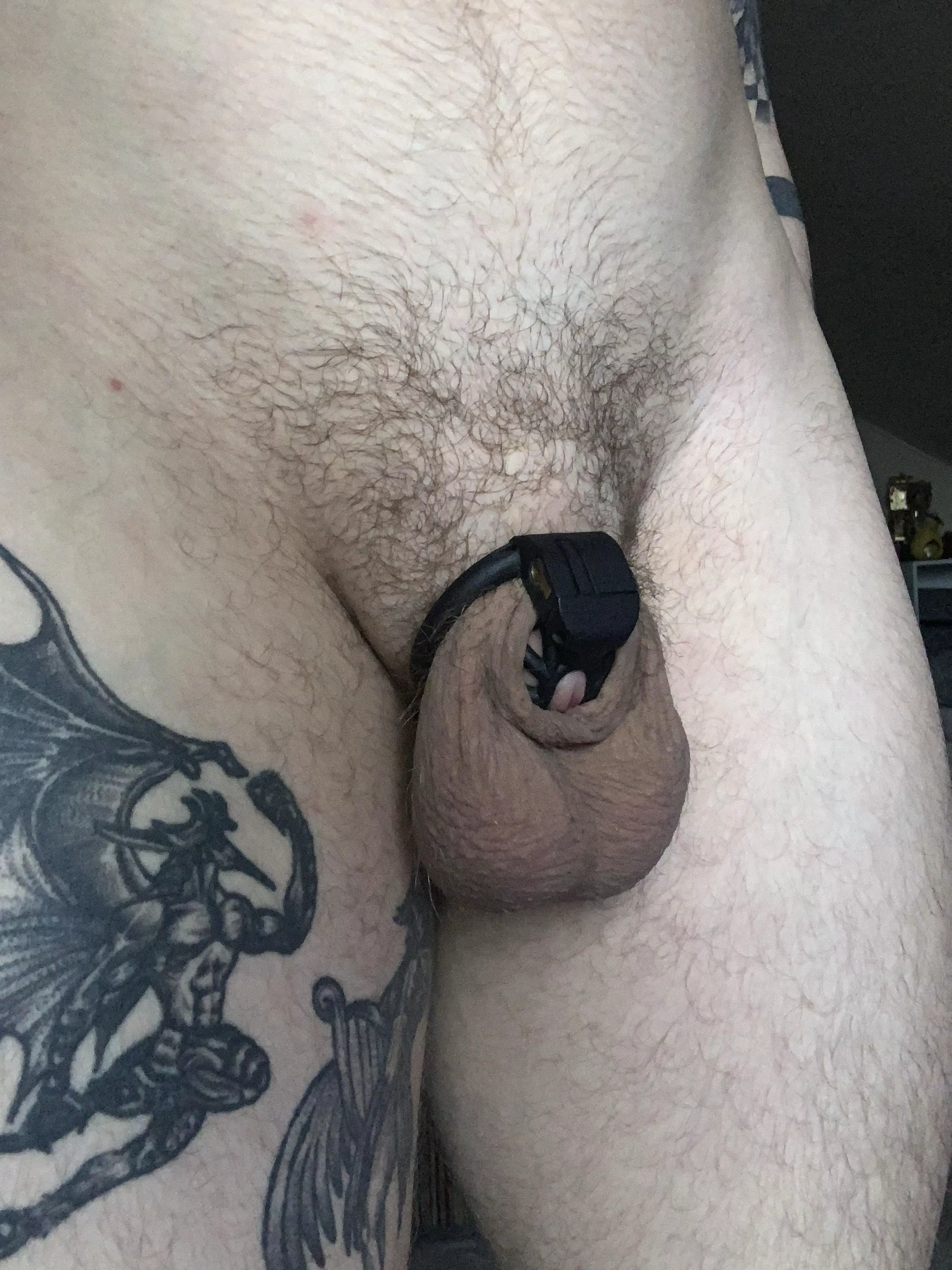 Tiny nub, fat balls!