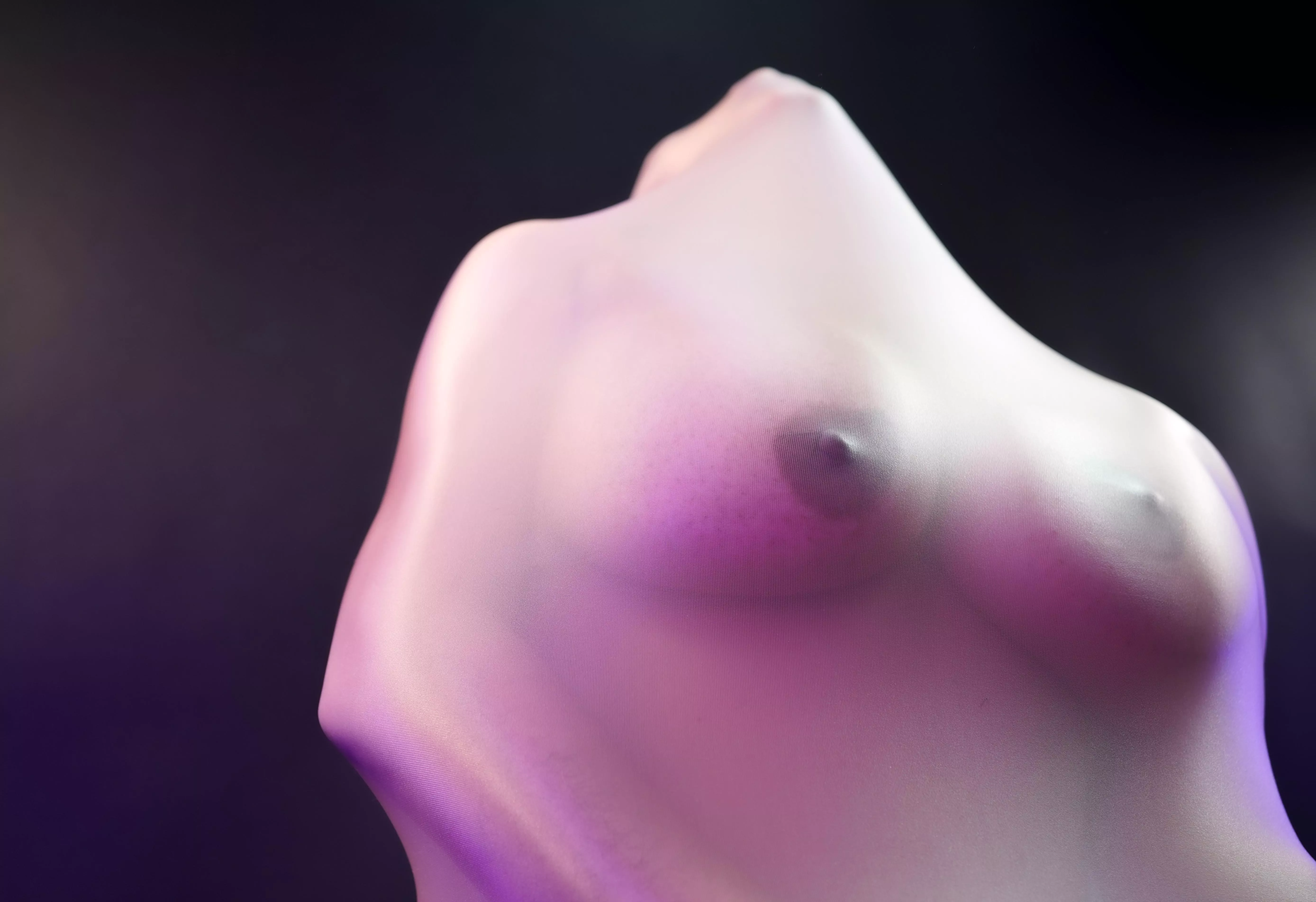 What a sculptor can never do is a living person