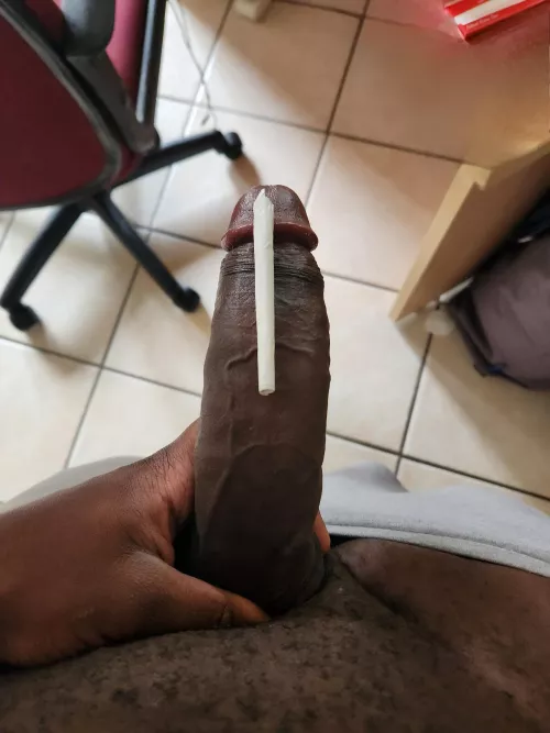 Which are you sucking first? [M]