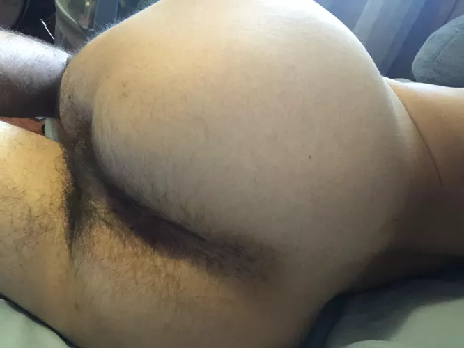 31, suck my dick and lick my ass