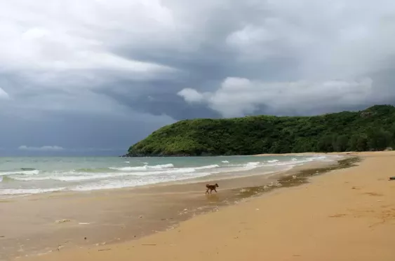 Bai Dam Trau, Vietnam