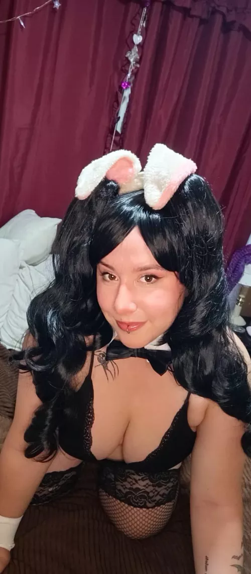 Black bunny