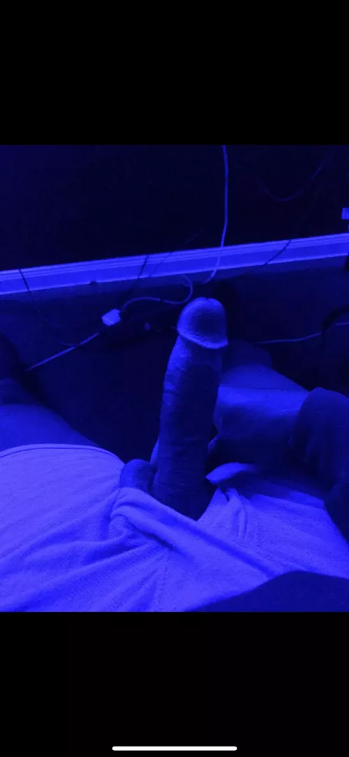 Blue light with black cock