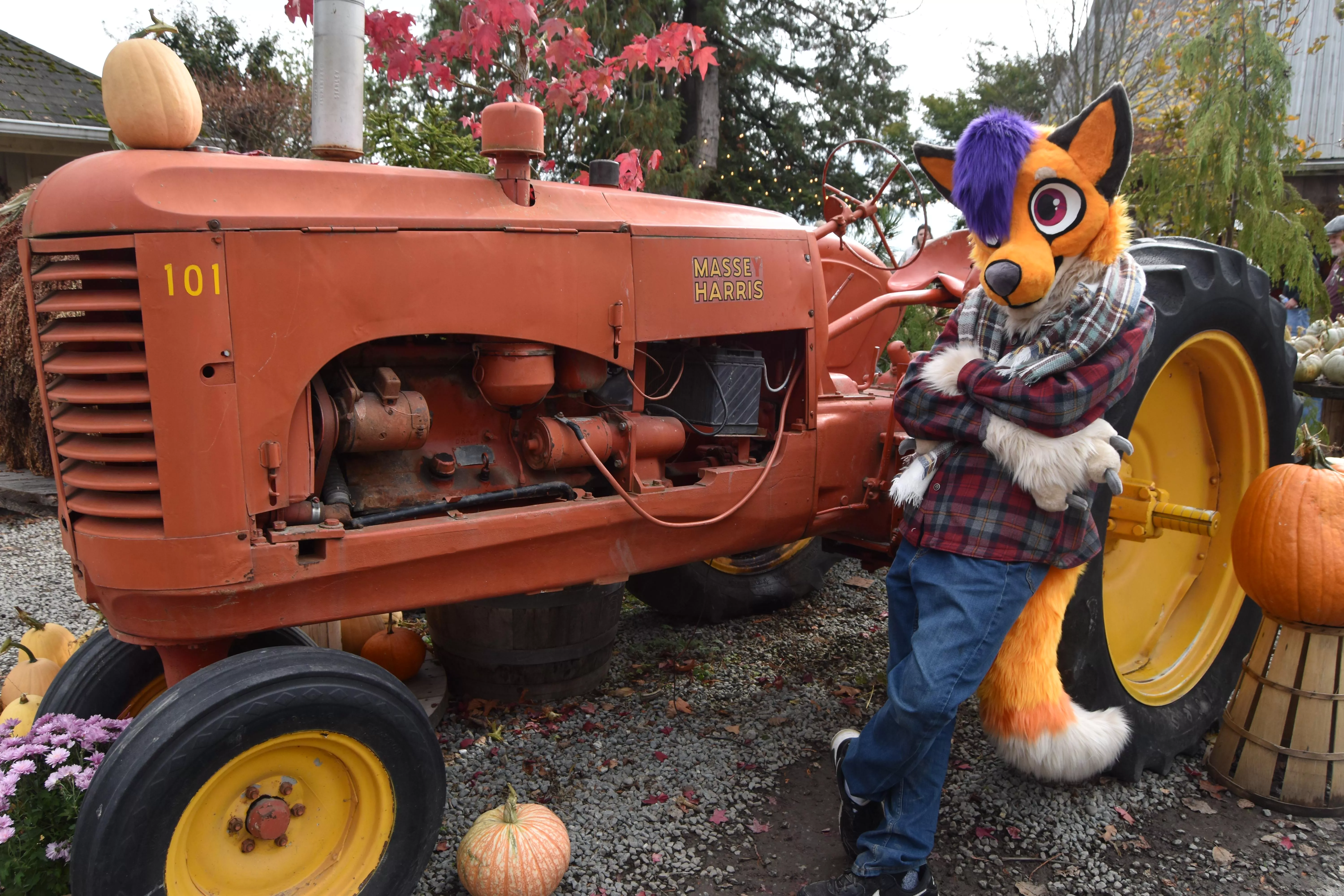 Continuing my daily fursuit posting