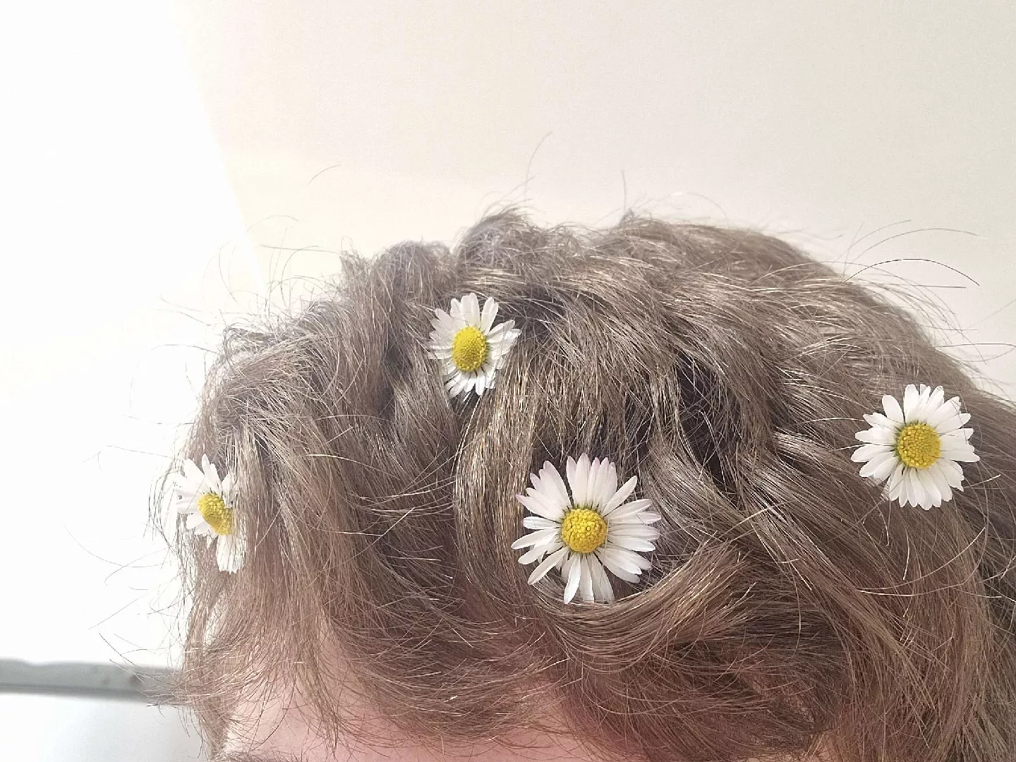 Felt cute so I picked some daisies from my back garden and put them in my hair aaaaa