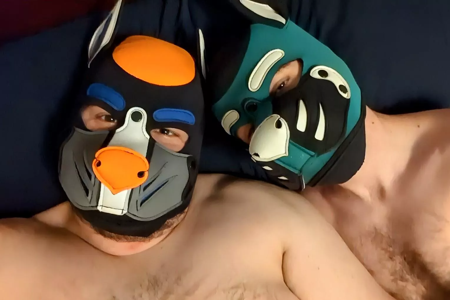 Happy National Pet Day from these pups!