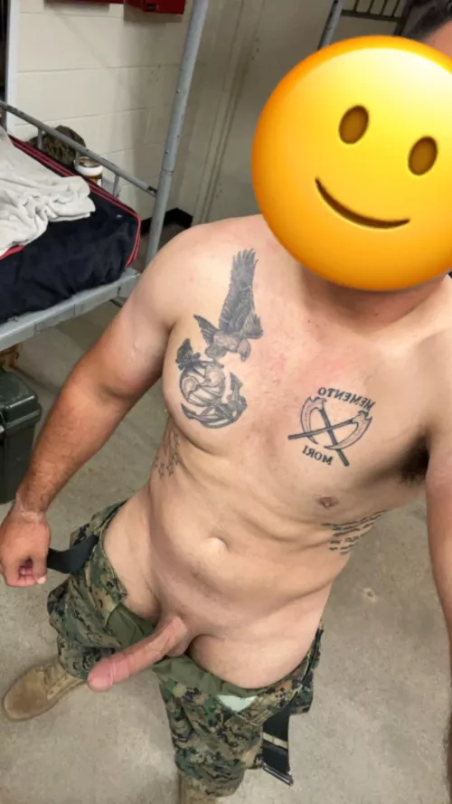 Has definitely been a long time since I posted 