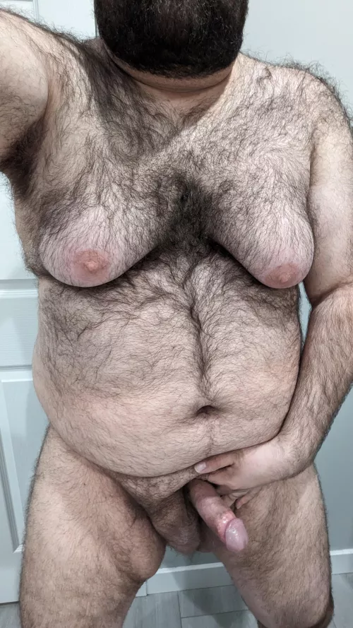 I believe I meet requirements to be a Breeding stud.