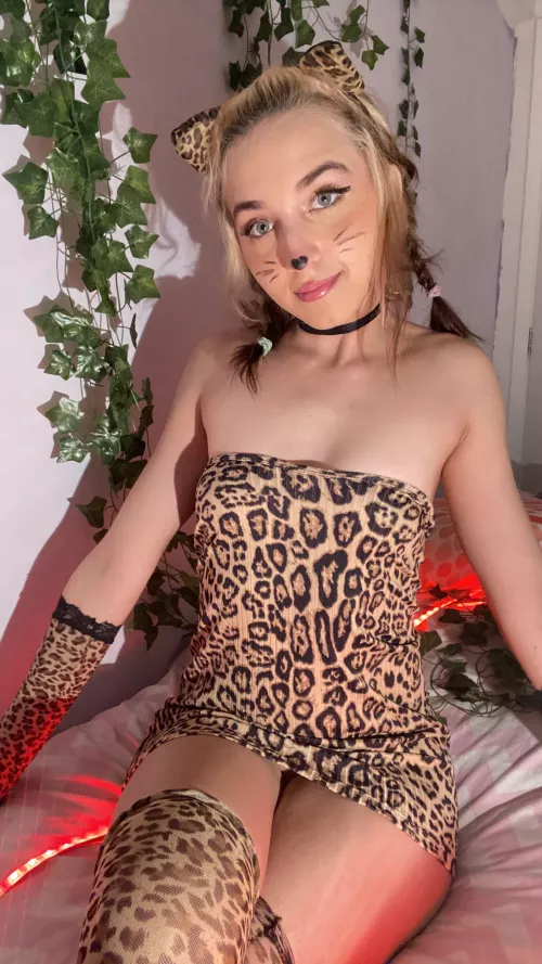 I'm the cutest kitten