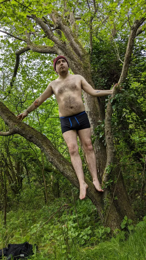 Just chilling in the woods :)