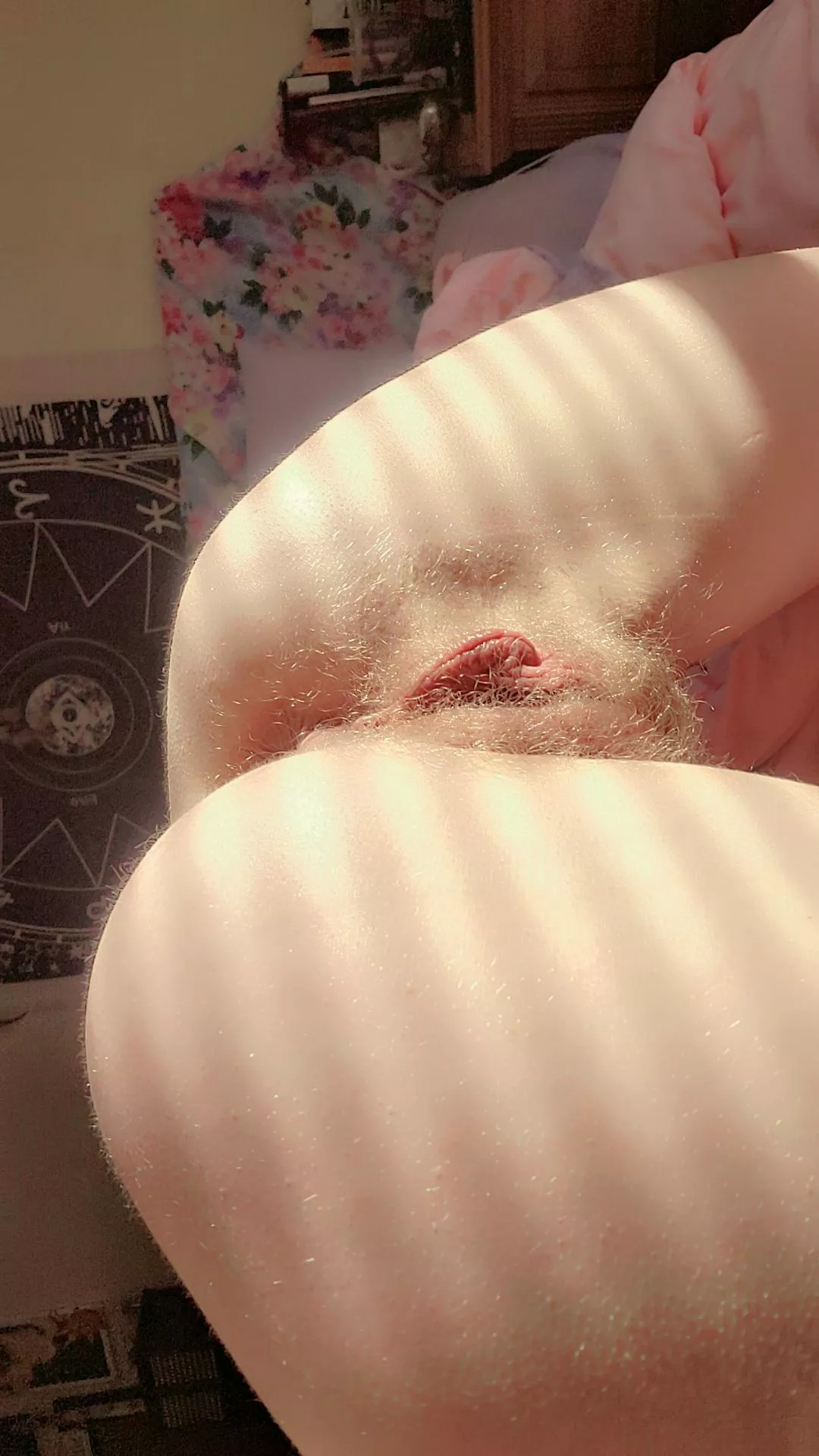 Laying in the warm sunlight 