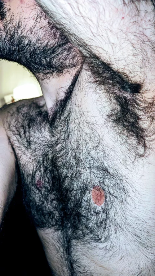 (Not) Extraordin-hairy