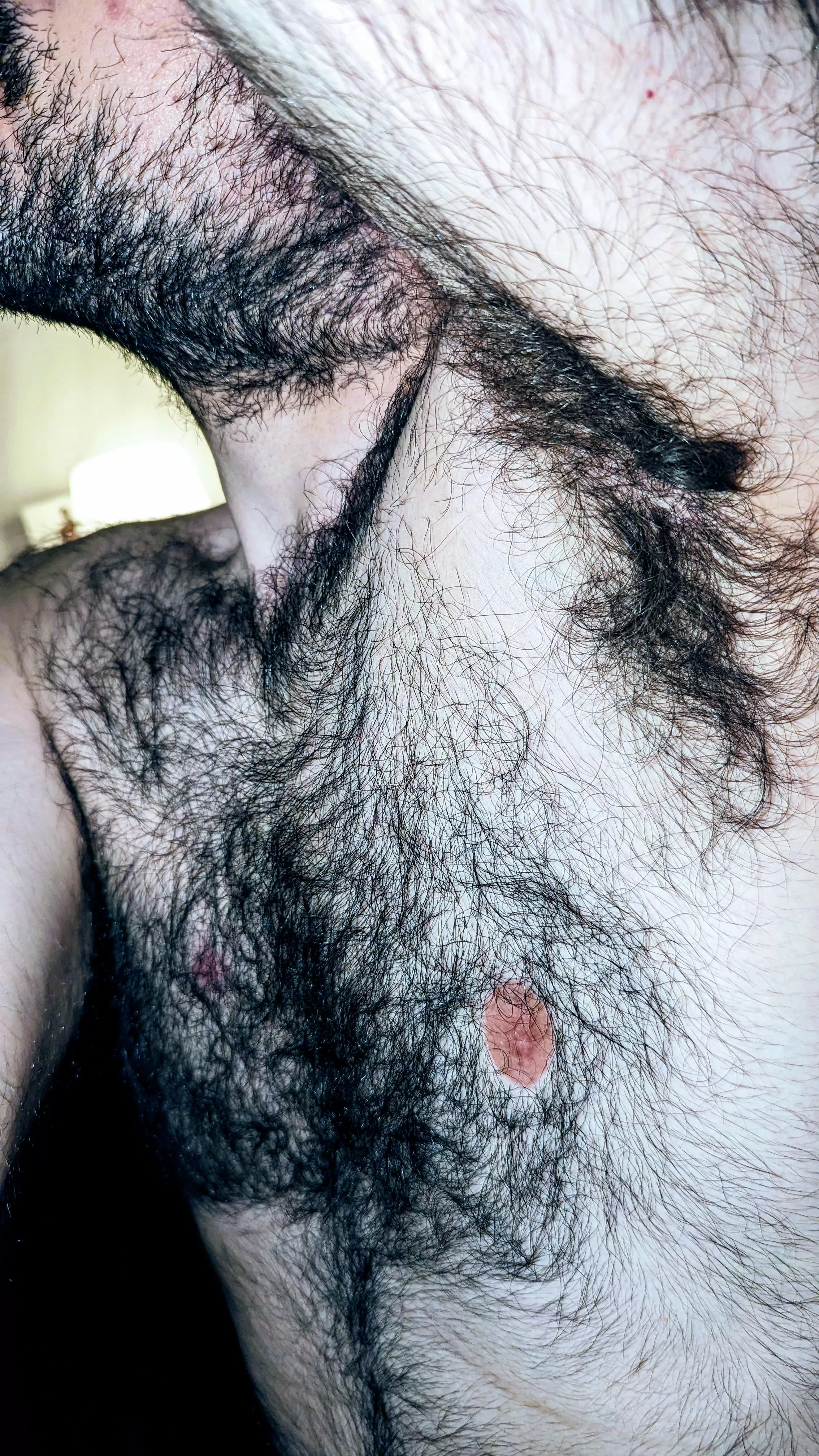 (Not) Extraordin-hairy