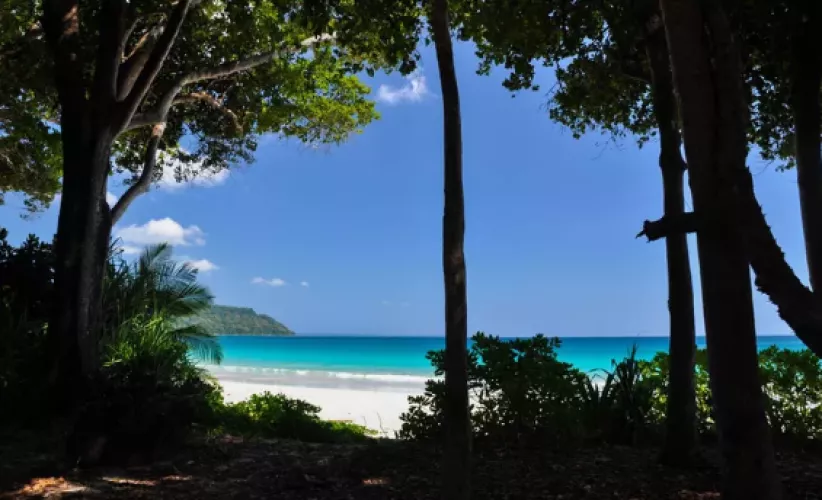 Radhanagar Beach, India