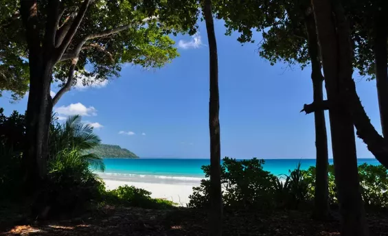 Radhanagar Beach, India