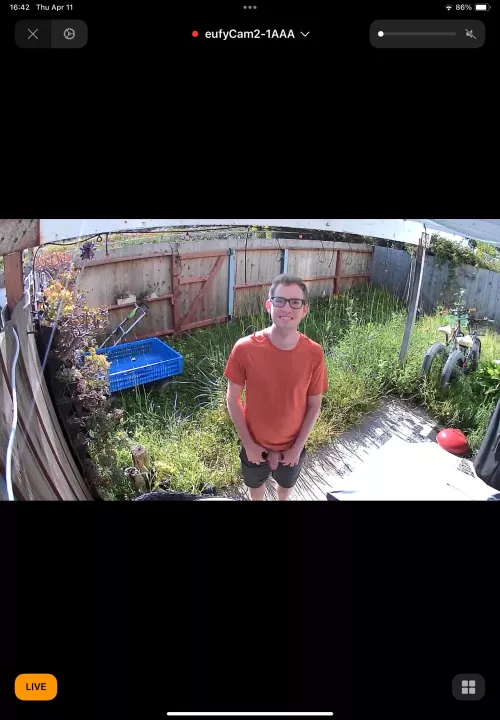 Someone is flashing the backyard security cam.