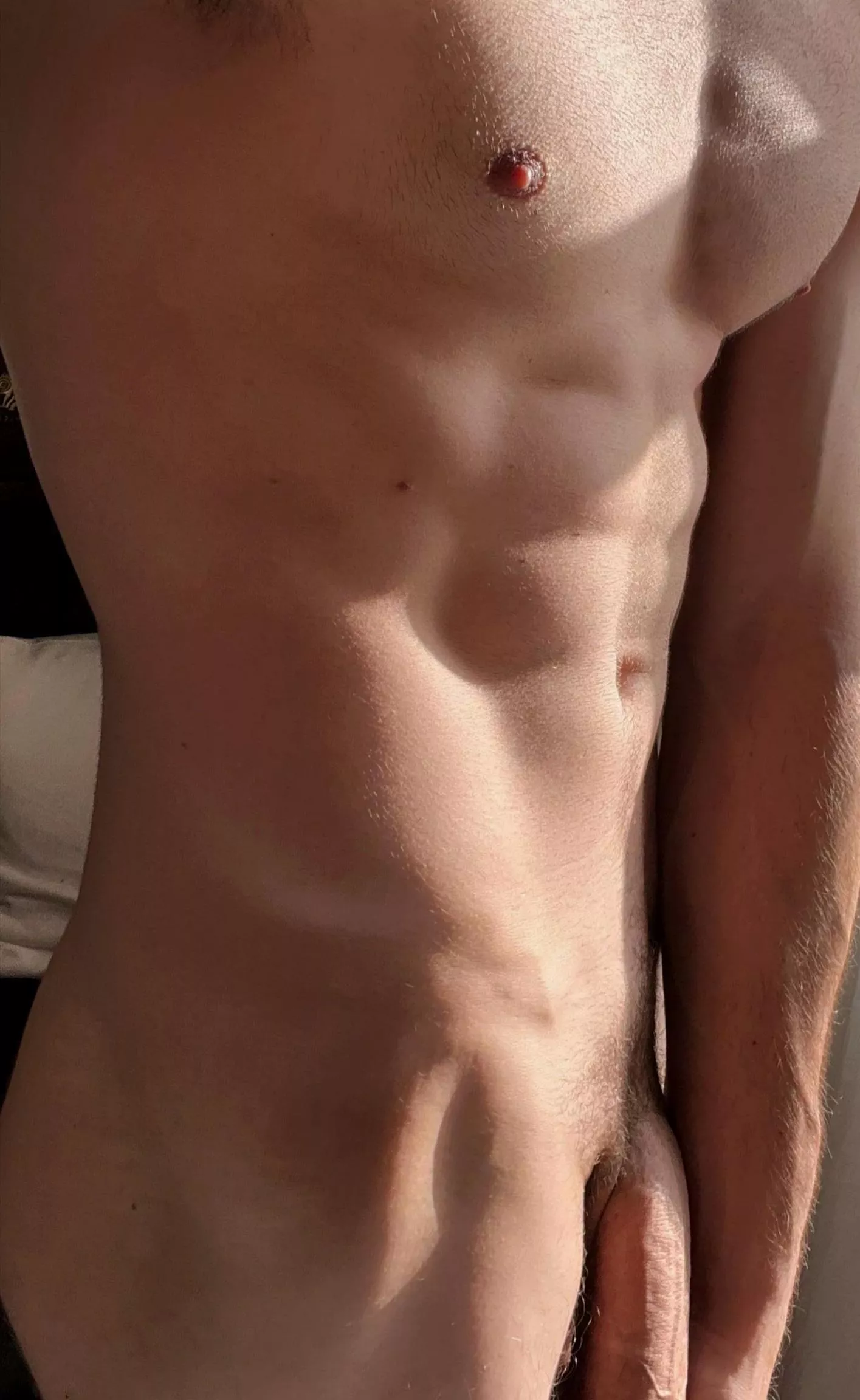 Sunlight hit perfectly