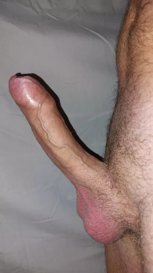 TGIF, wonder who else will be pantsless in my last zoom meeting of the day