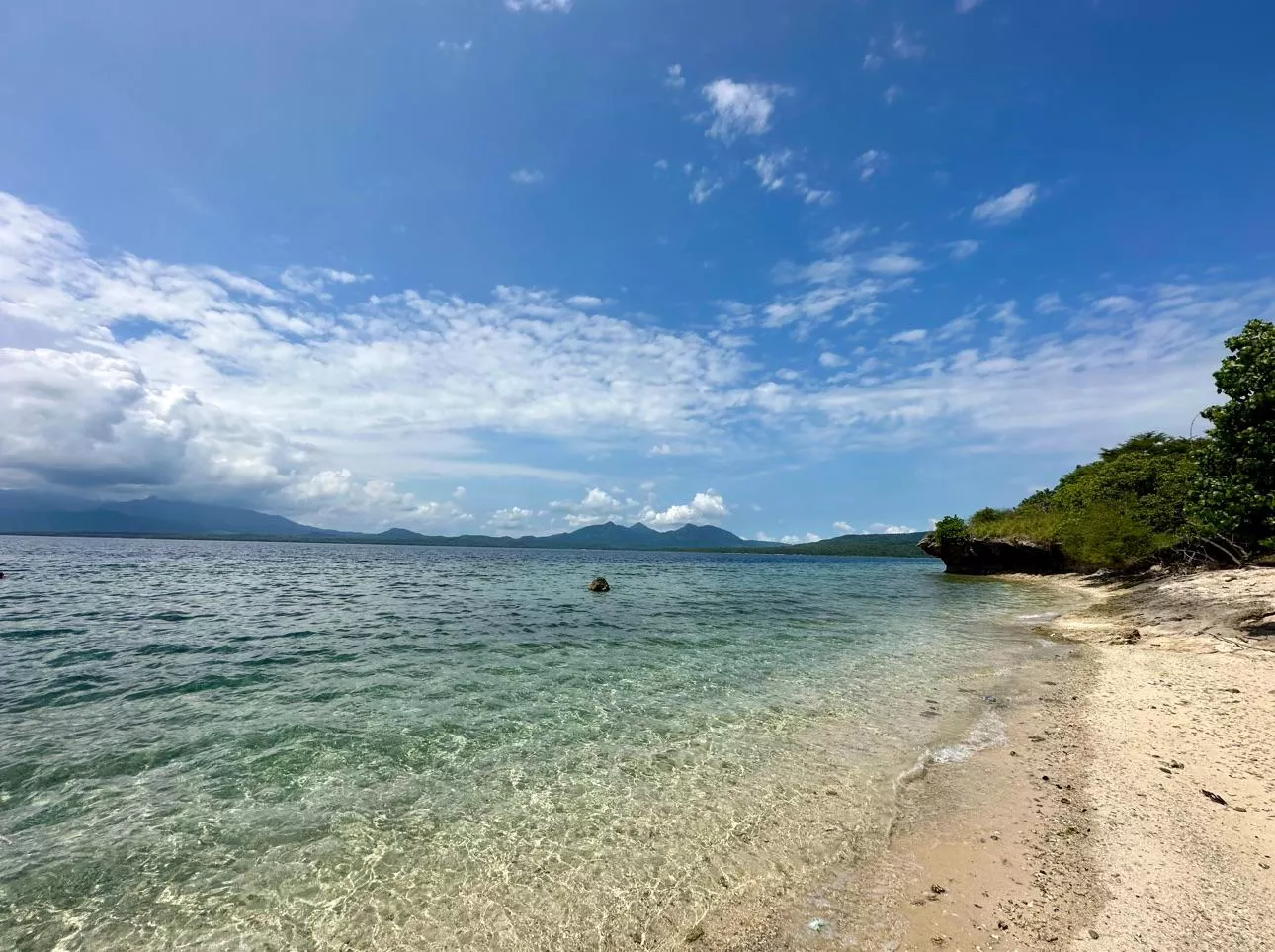 West Bali National Park